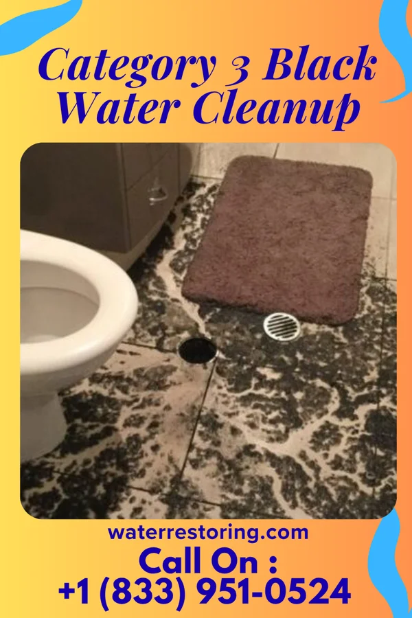 Category 3 Black Water Cleanup in Portage, OH