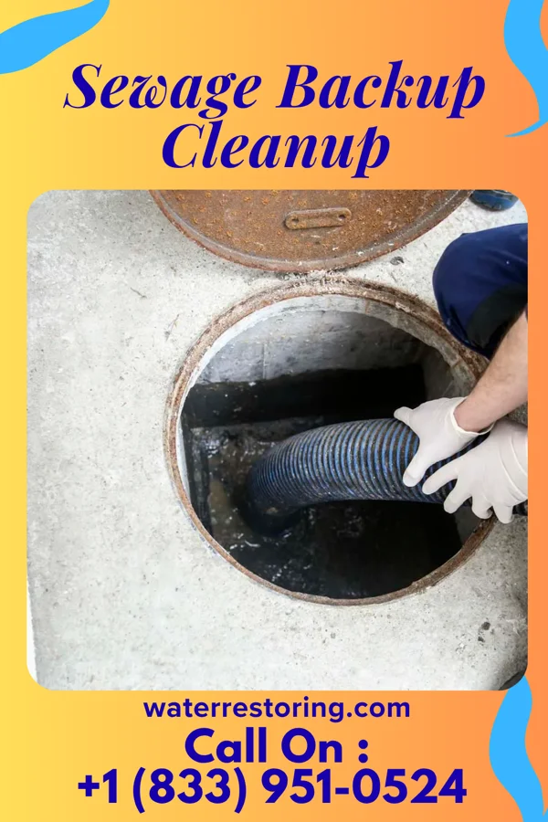 Sewage Backup Cleanup in Portage, OH