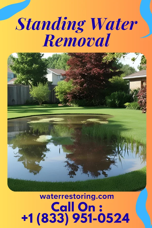 Standing Water Removal in Portage, OH